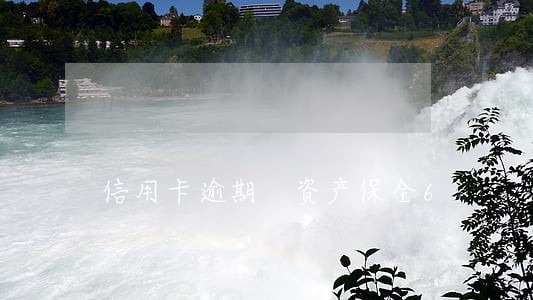信用卡逾期 资产保全6 信用卡逾期 资产保全6